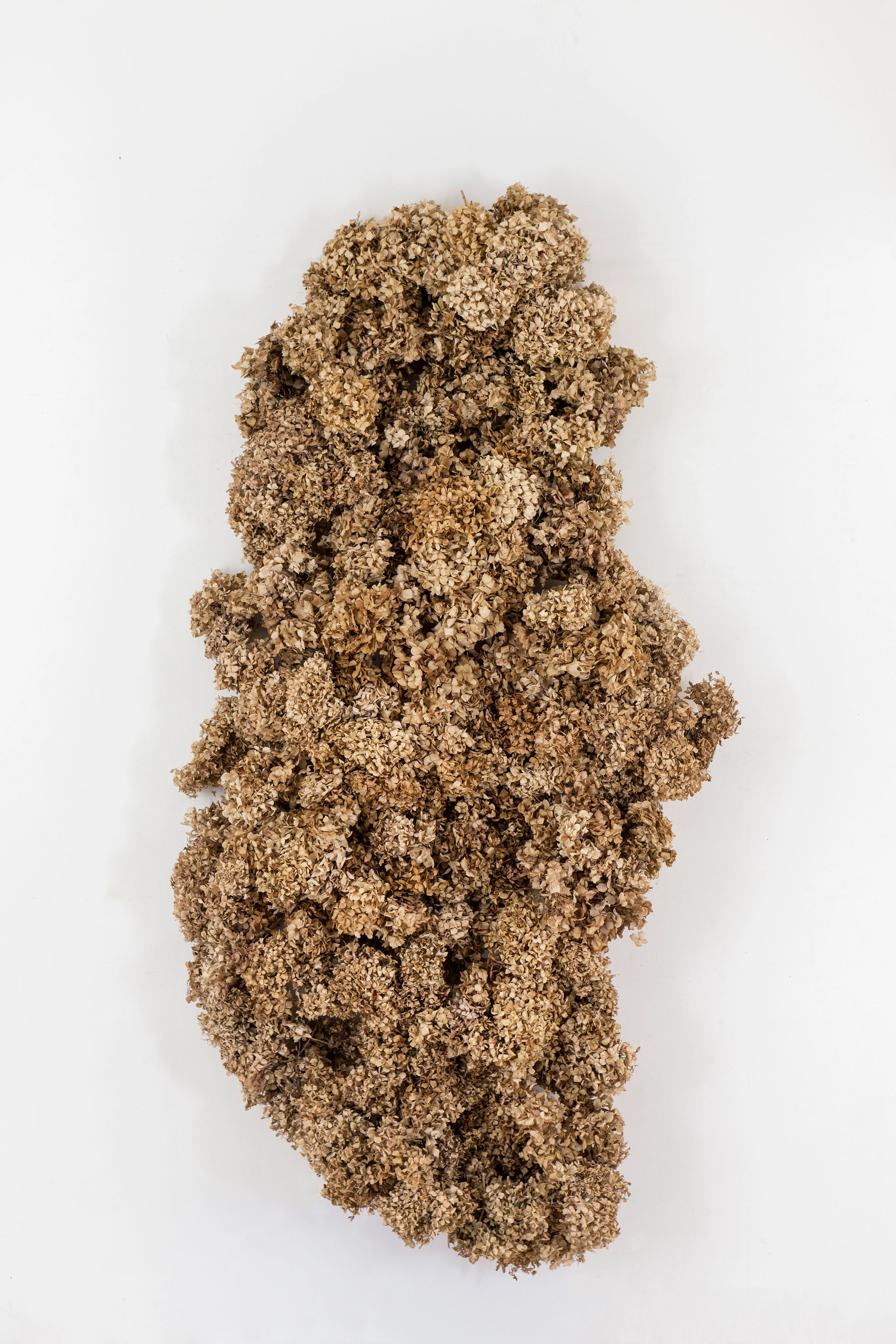 Tejido de Hortensias — vista 3