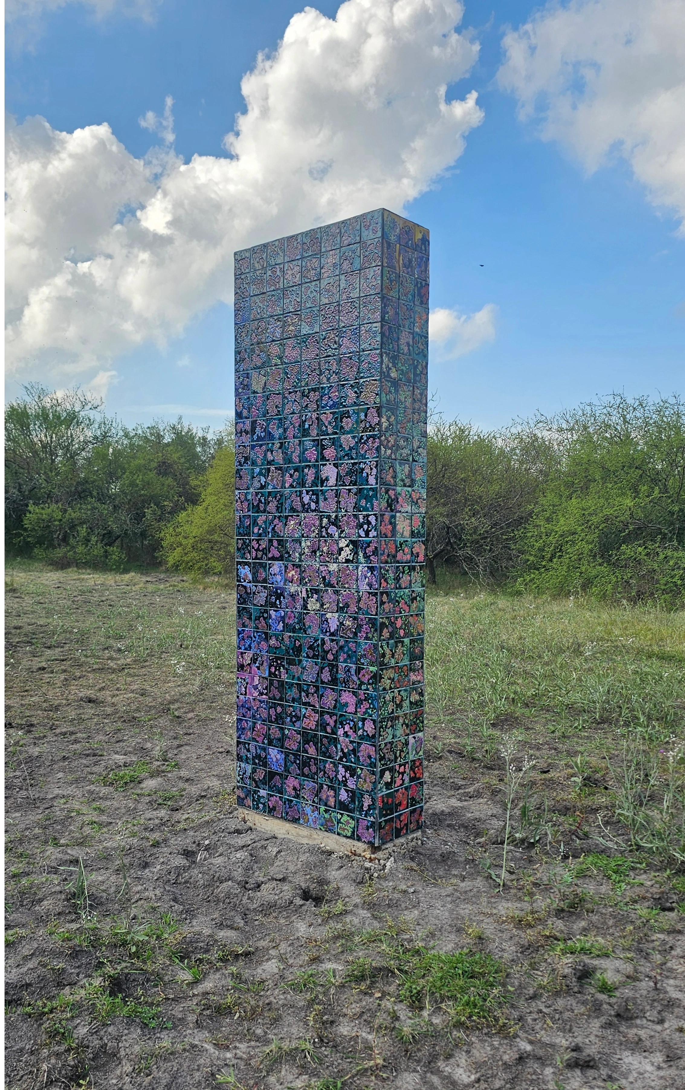 Menhir del Humedal — vista 1