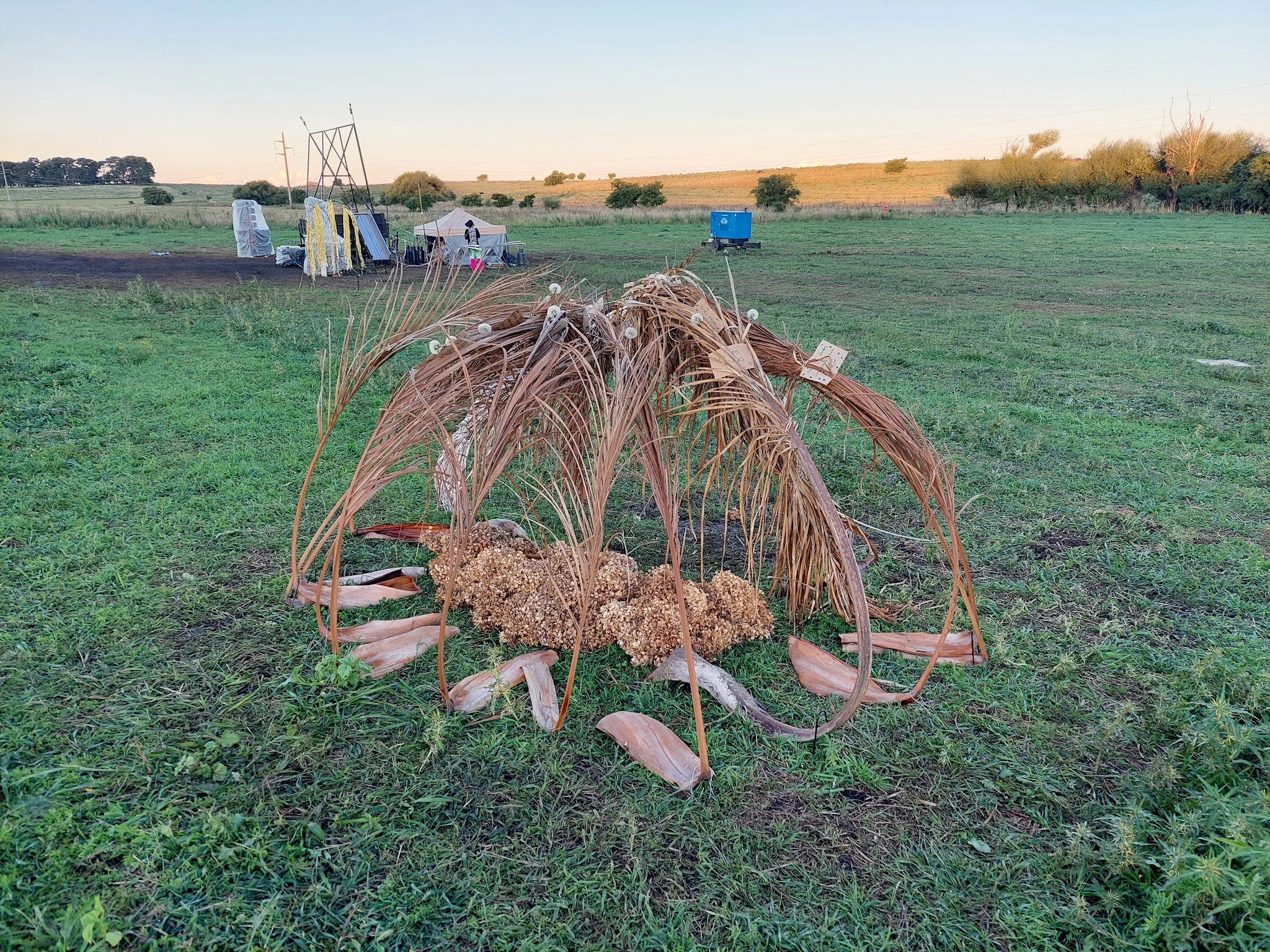 Carpa Warra — vista 1