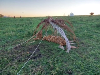 Carpa Warra — vista 2