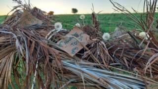 Carpa Warra — vista 3