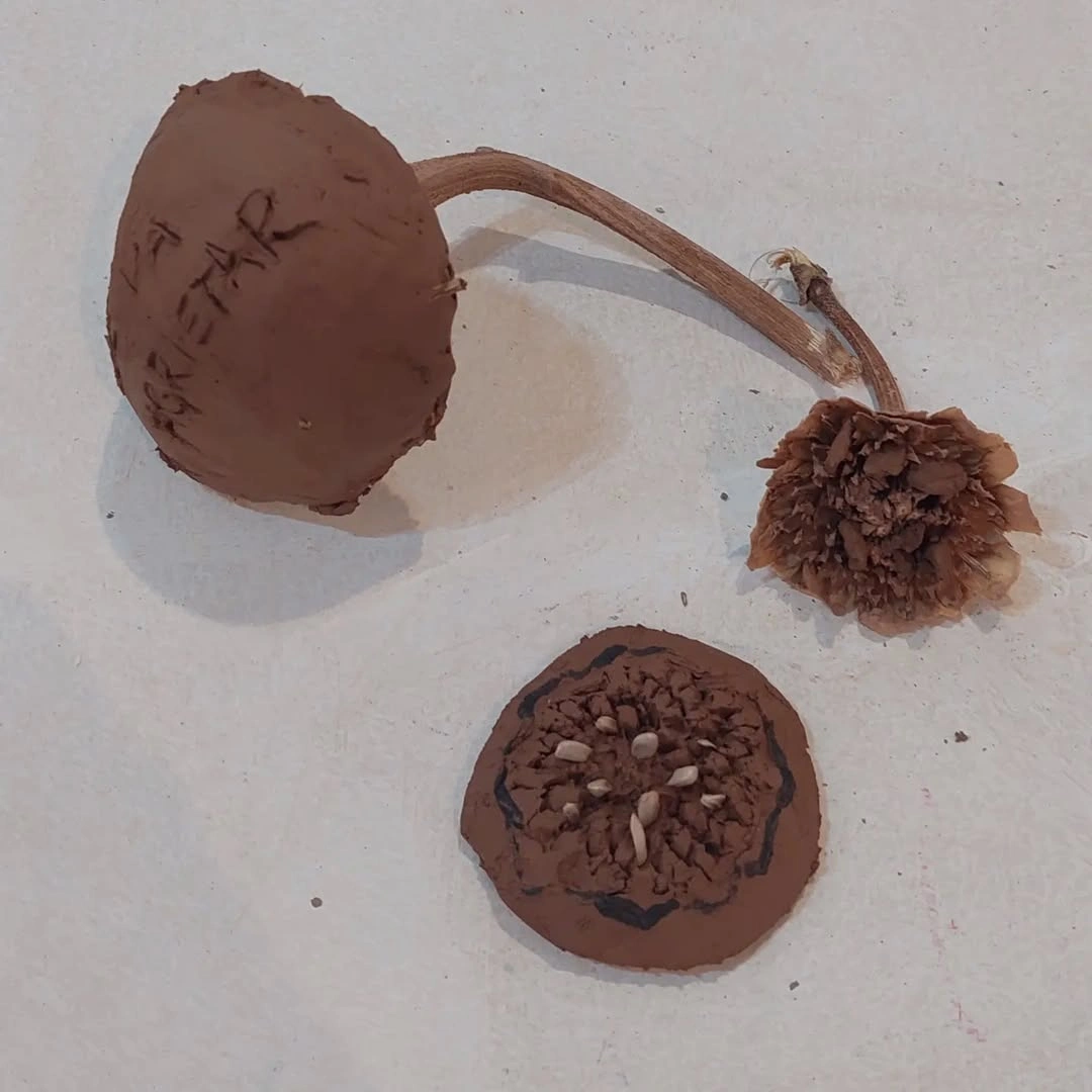 Residencia Museo Jallpha Calchaqui, San Carlos, Salta — 12