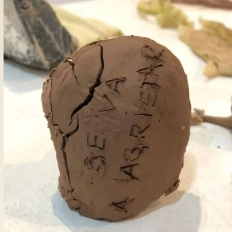 Residencia Museo Jallpha Calchaqui, San Carlos, Salta — 16