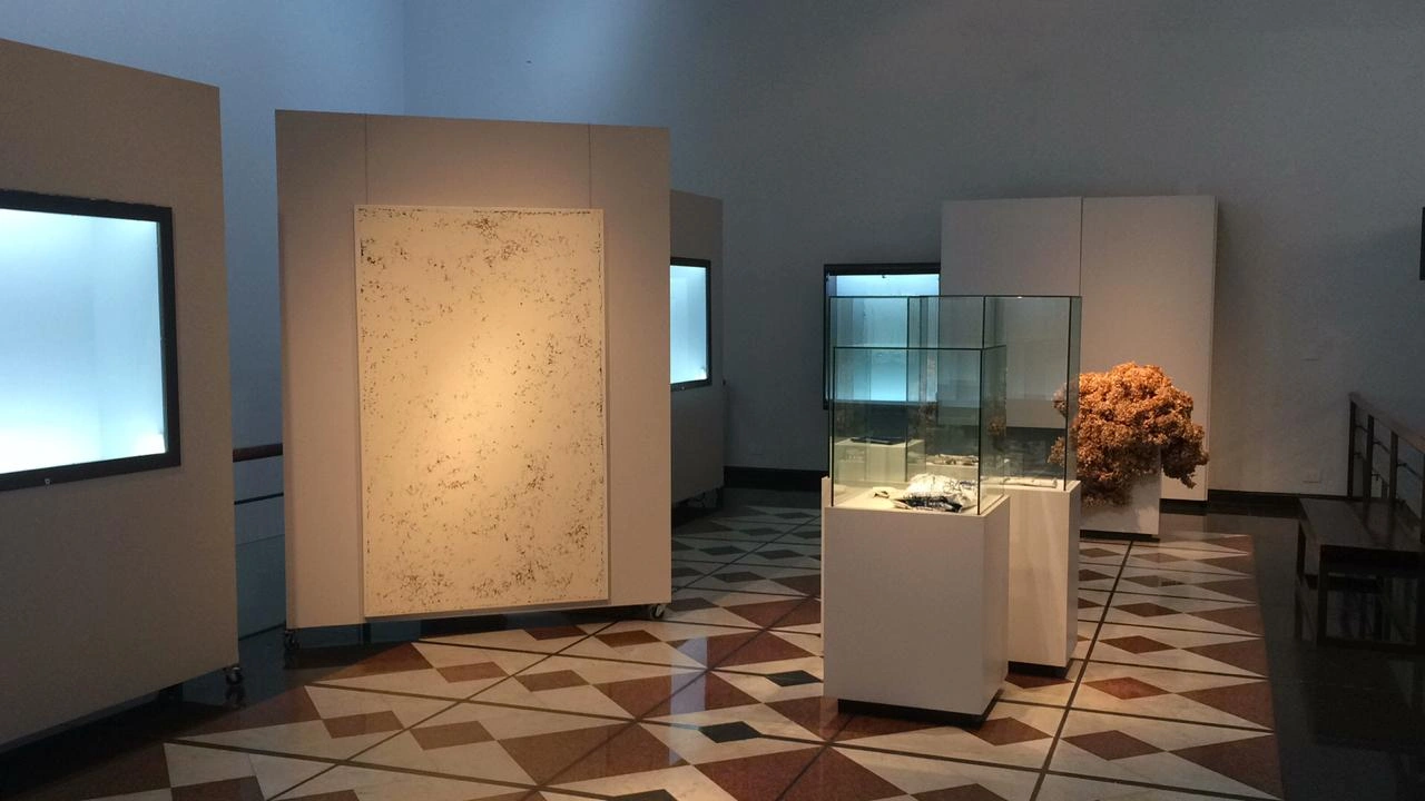 Entonces volvieron a ser nada - Museo Banco Provinca — 1