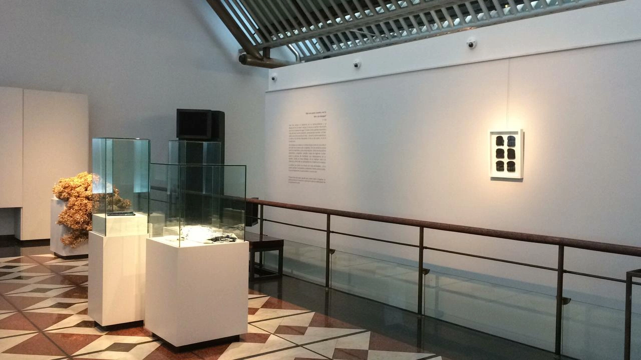 Entonces volvieron a ser nada - Museo Banco Provinca — 3