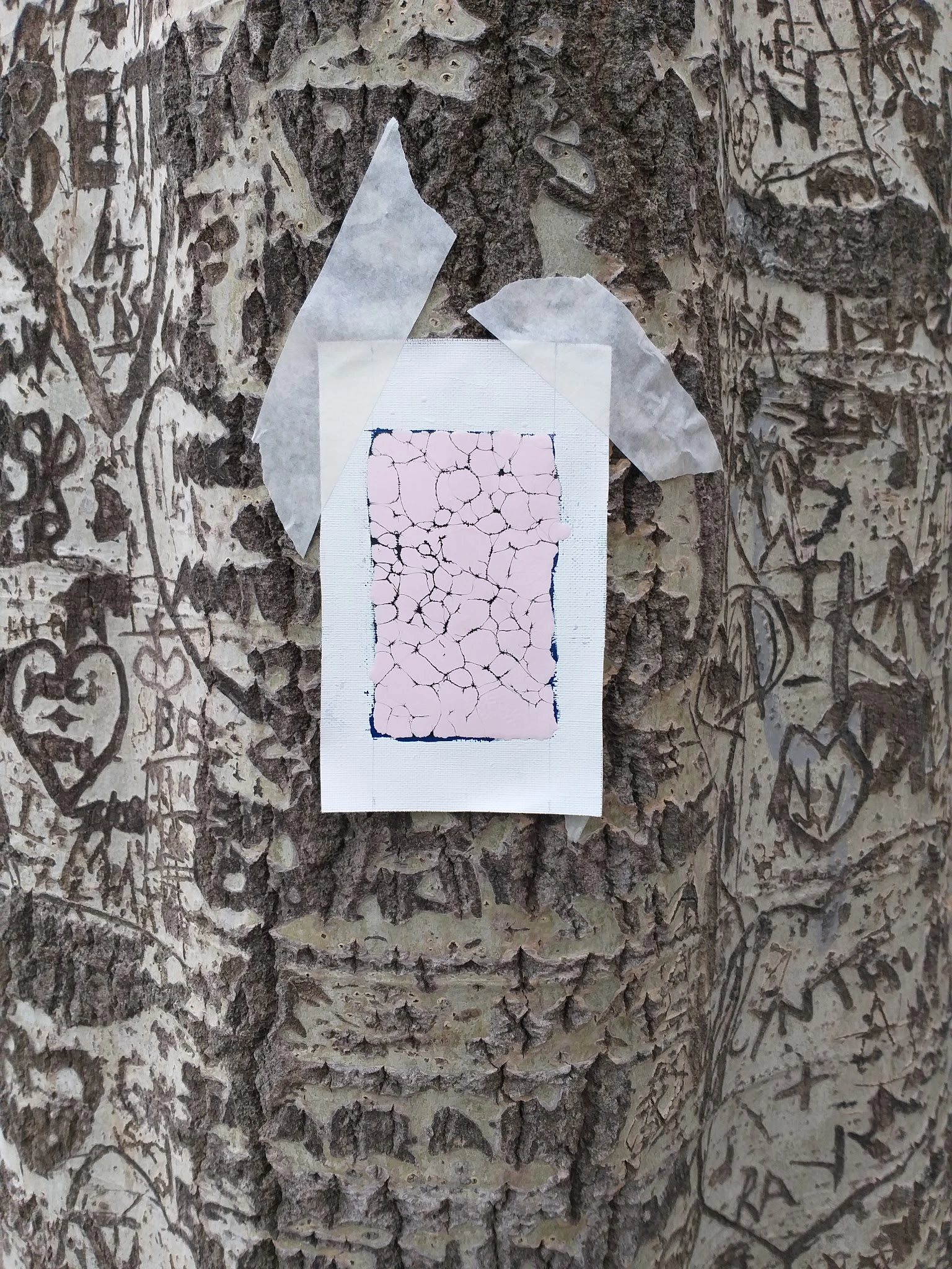 Serie Penélope - Alfredo Aracil — 5