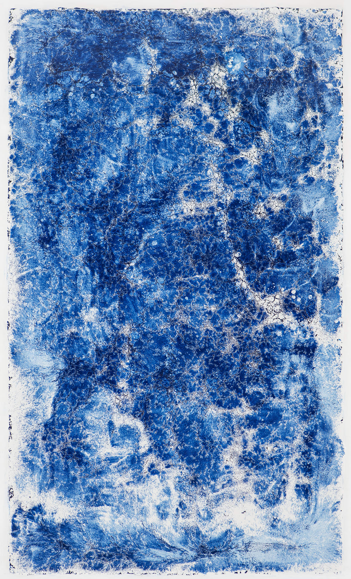 Investigaciones en Azul XIII