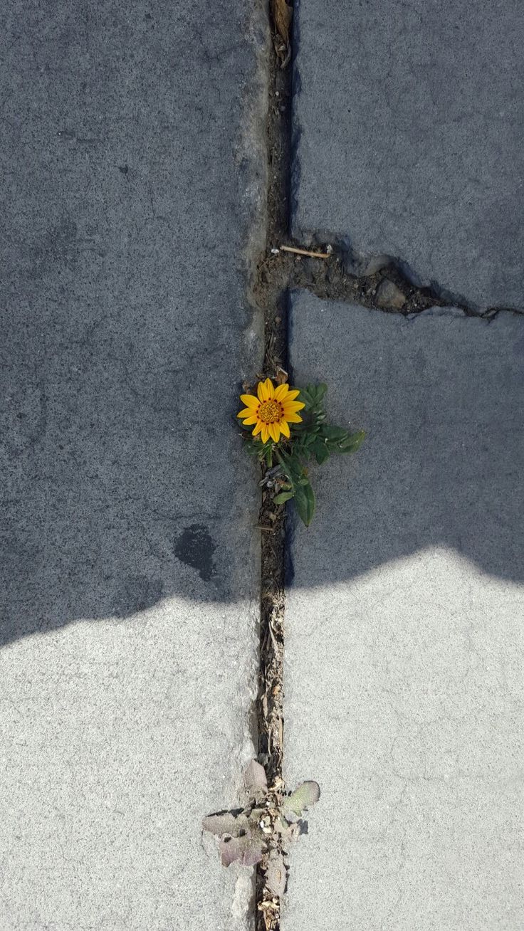Inner Conflict