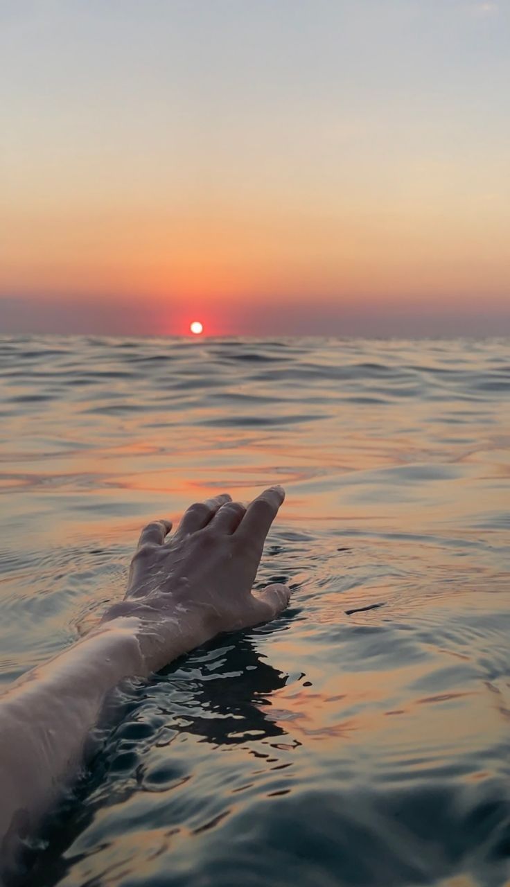 Find Purpose