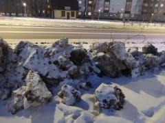 Акт вандализма и уничтожения озеленения в  Усолье