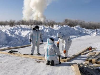 Птичий грипп уничтожил куриц на пять километров вокруг сахалинской птицефабрики