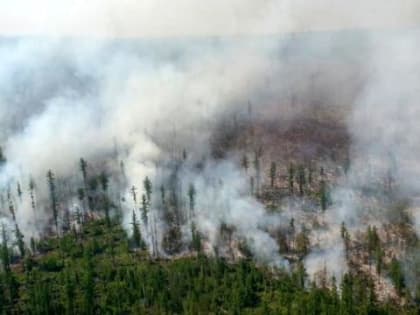 В труднодоступных районах Якутии и Забайкалье горят почти 80 тысяч гектаров леса