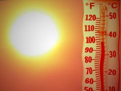 В Новосибирске 77 человек попали в больницу из-за жары