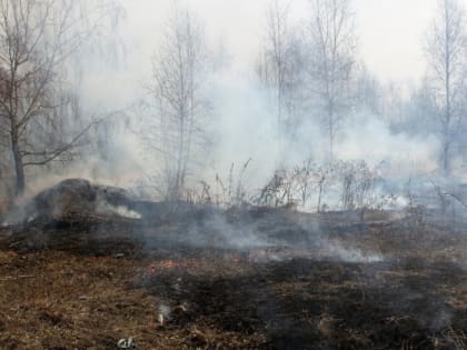 Ветер с порывами до 15-20 м/с и высокие классы пожарной опасности сохраняются в регионе