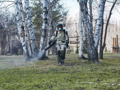 4032 жителя Иркутской области пострадали от укусов клещей с начала эпидсезона