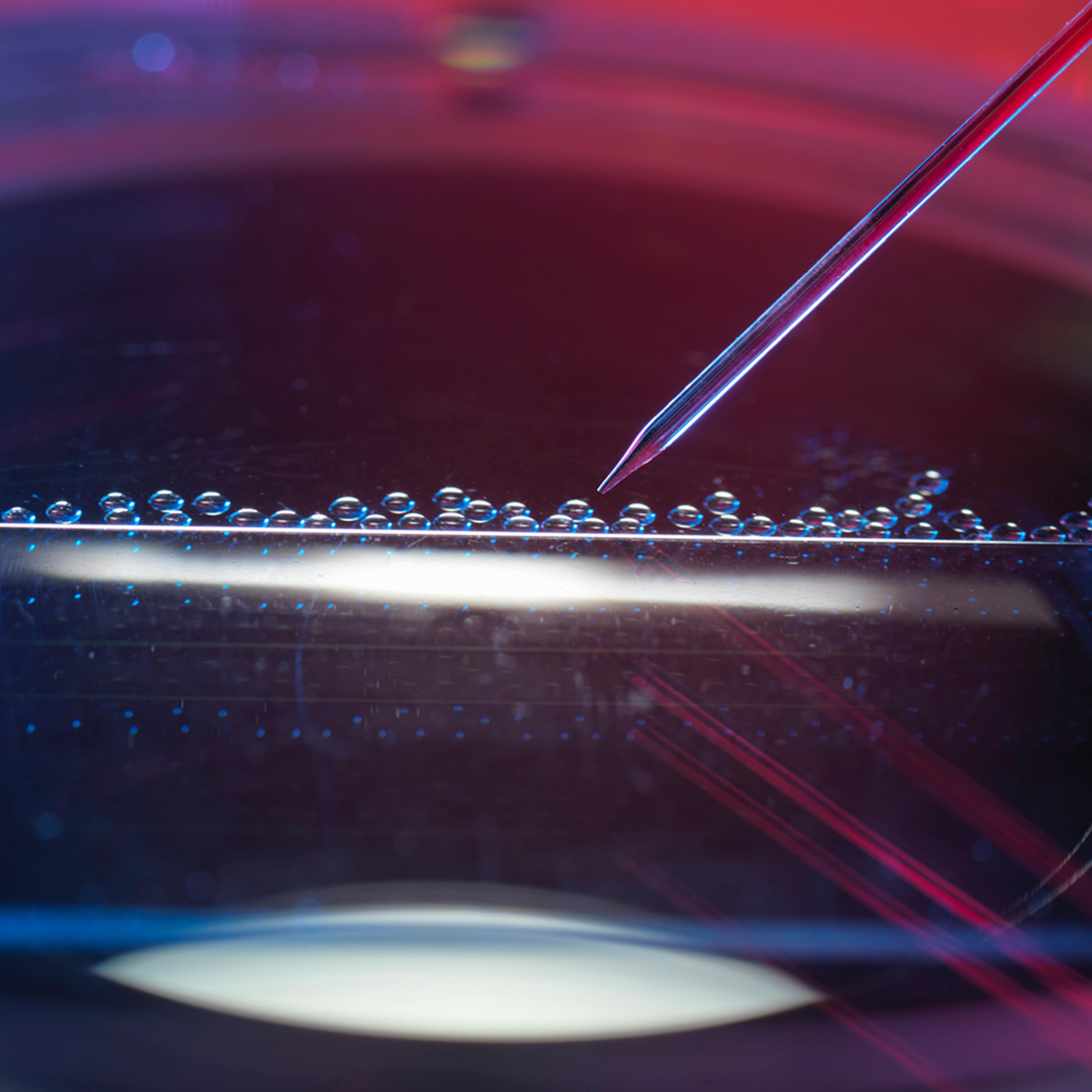 A close-up, high-magnification shot of a laboratory pipette, angled down towards a clear liquid. The liquid's surface has a line of small bubbles