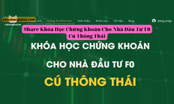 Khóa Học Chứng Khoán Cho Nhà Đầu Tư F0 Cú Thông Thái Khóa Học Chứng Khoán Cho Nhà Đầu Tư F0 Cú Thông Thái