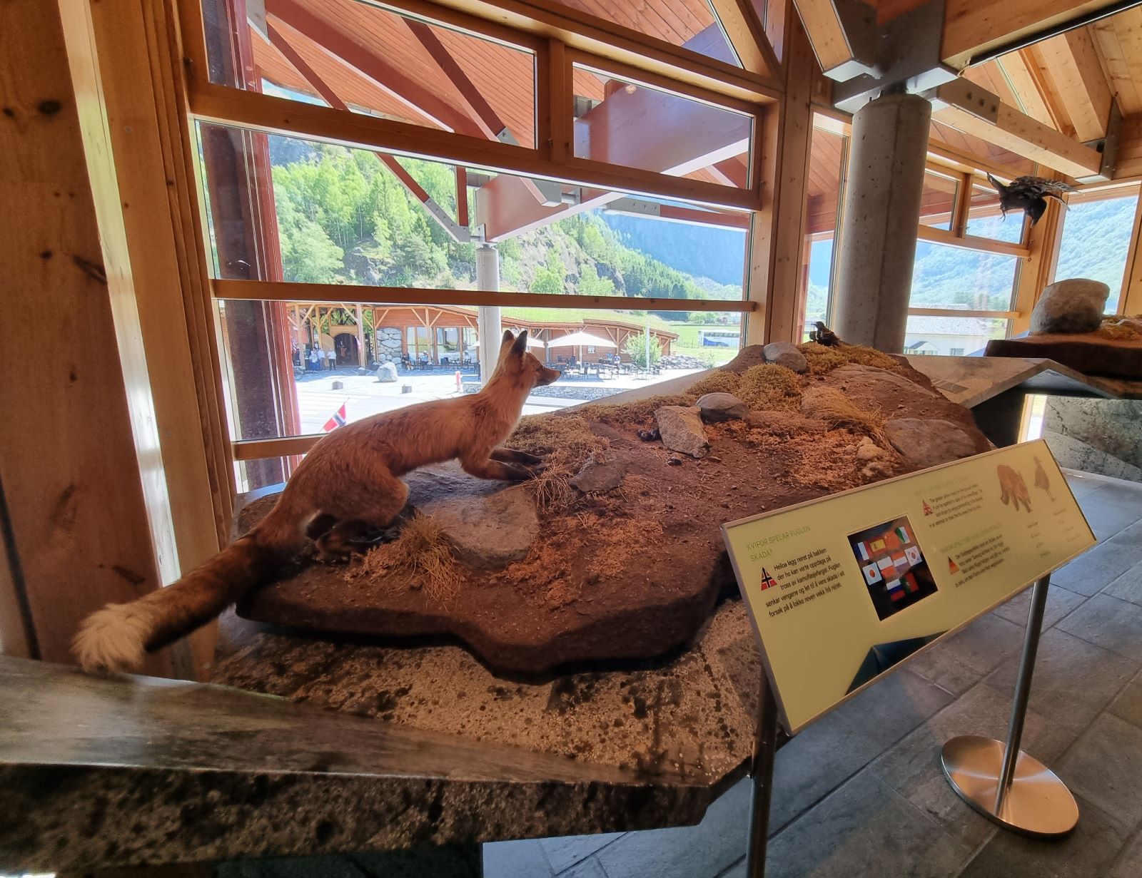 Exhibition with a stuffed fox and information boards.