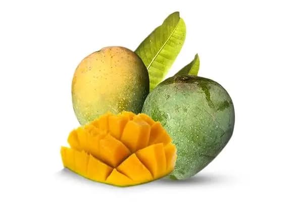 সরাসরি কৃষক থেকে 