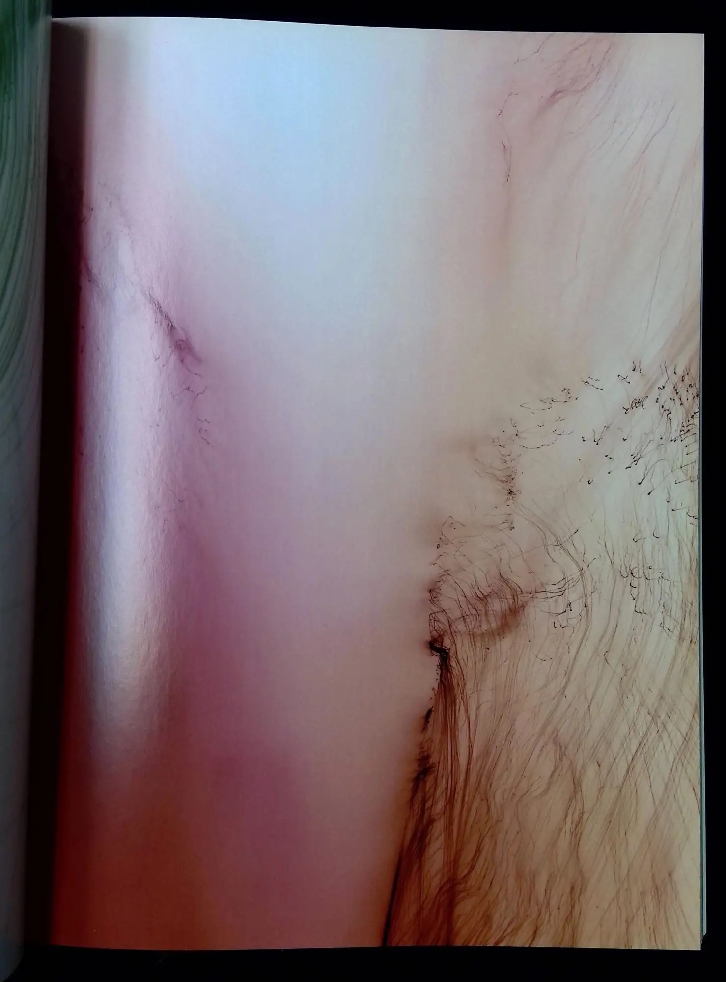 Random archive image 2