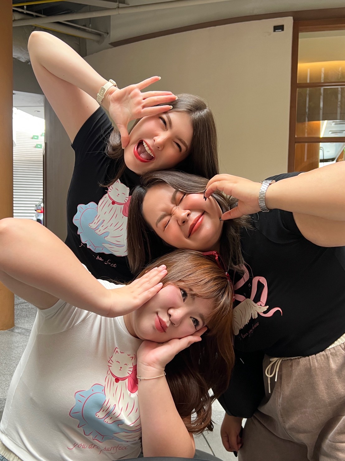 Pet Me Please Baby Tee