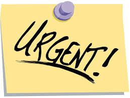 Urgent Vietnam Visa