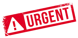 Urgent Vietnam visa last minutes service