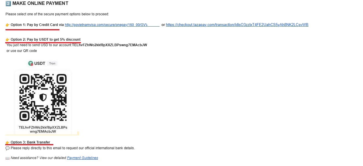 Email Payment Link Screenshot Layout