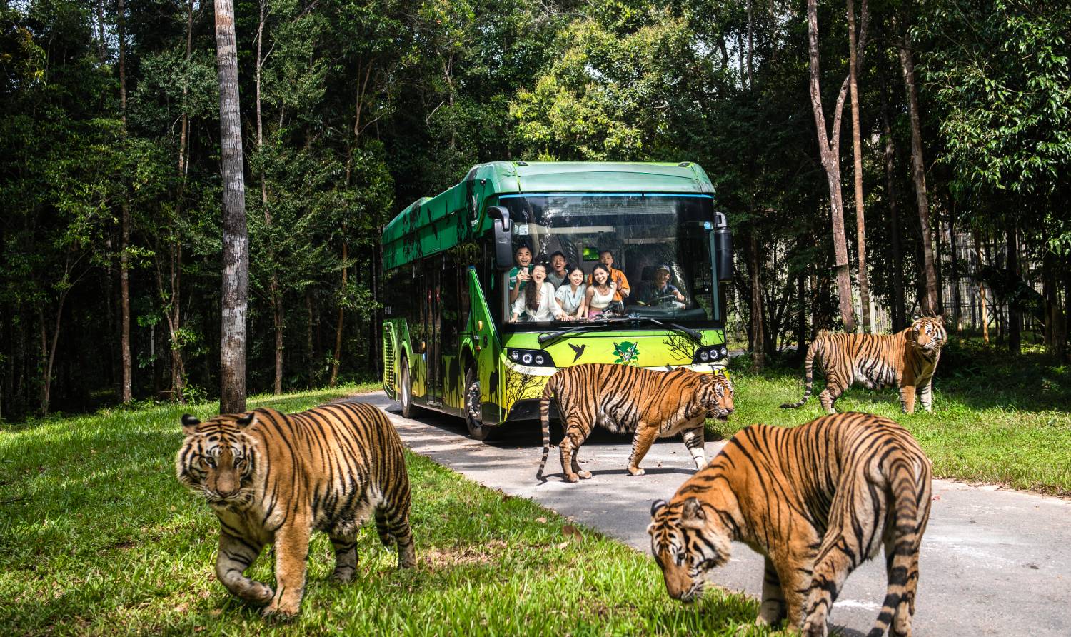 Vinpearl Safari Phu Quoc - Wildlife Sanctuary