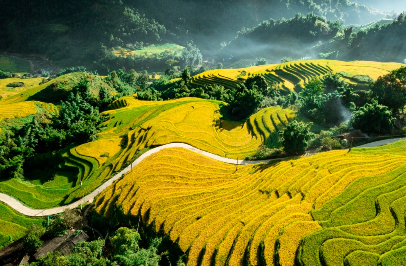 Sapa Terraced Fields - Majestic Mountain Landscapes