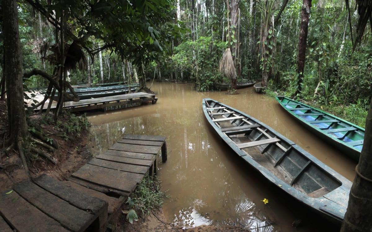 River cutting the canopy in Madre de Dios