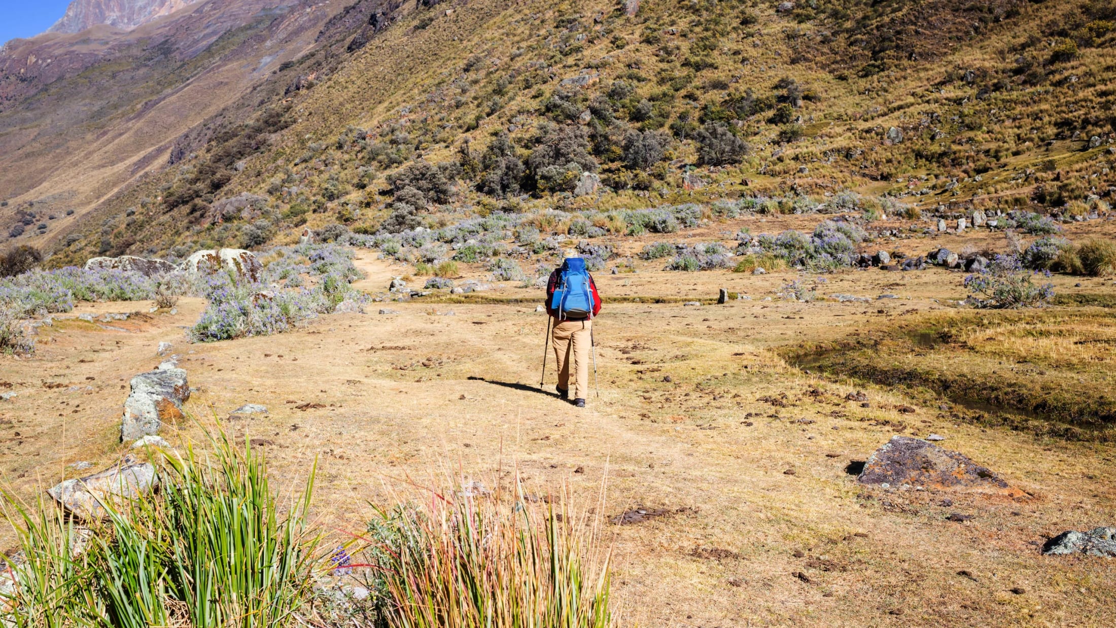 A hiker on Andean highland trails toward canyon country
