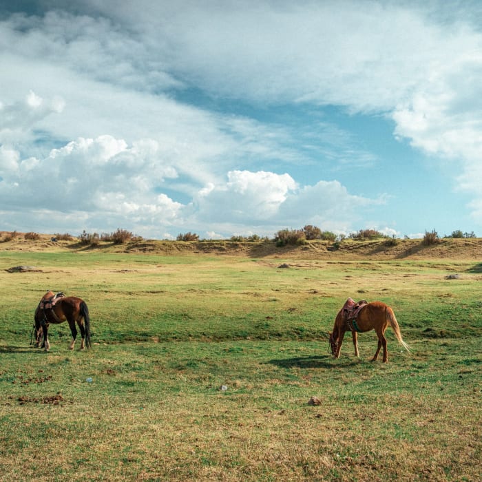 Riders in open highland country