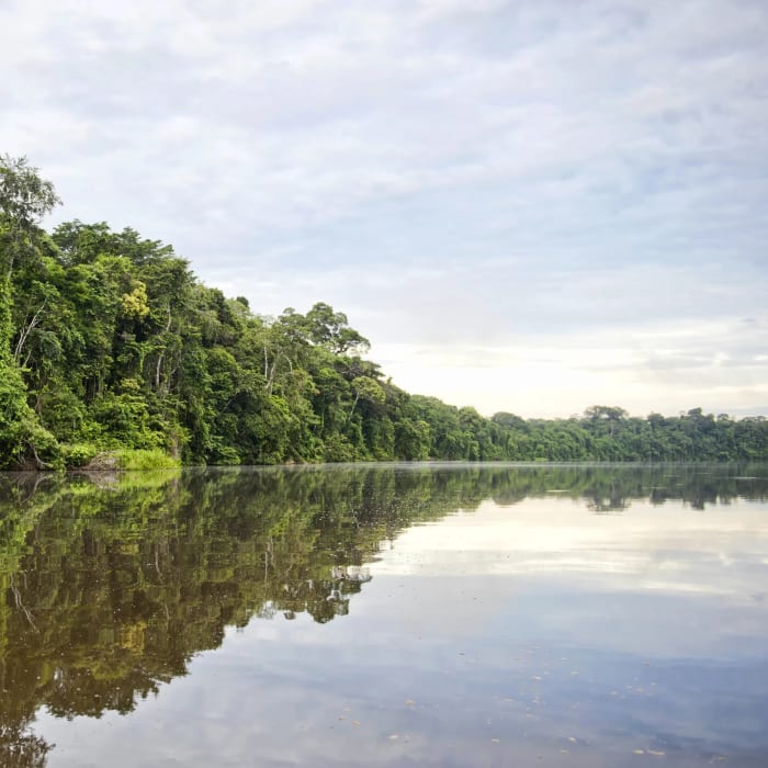 A river through southern Amazon forest