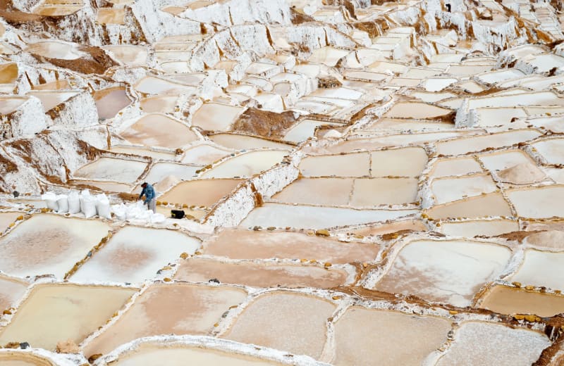 A pot on the ground — plant dyes and a community kitchen
