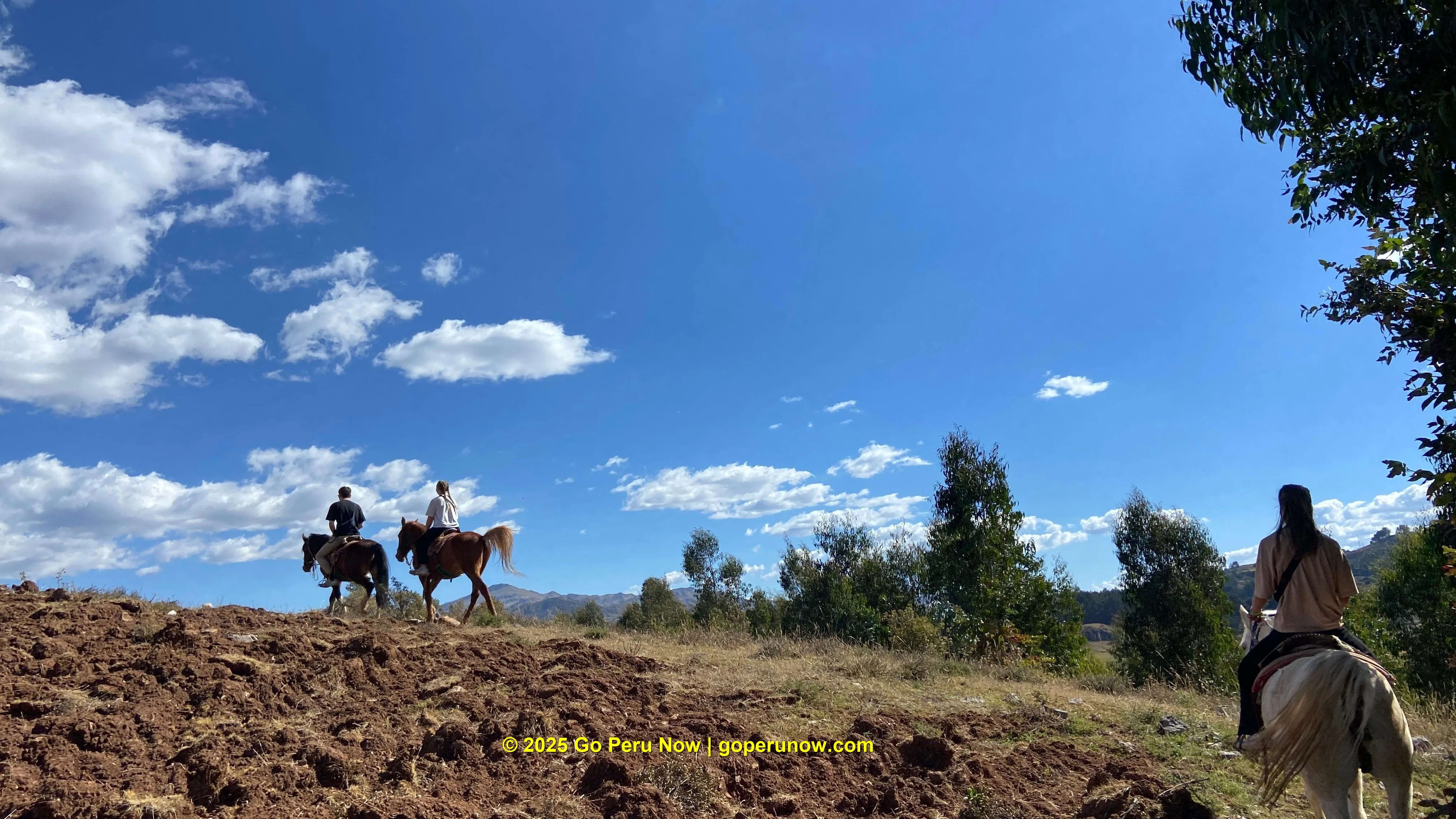 Cultural Immersion Journey