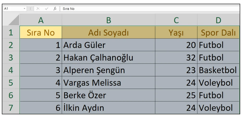 Örnek Excel Tablosu