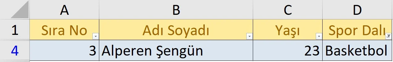 Filtrelenmiş Tablo Sonucu