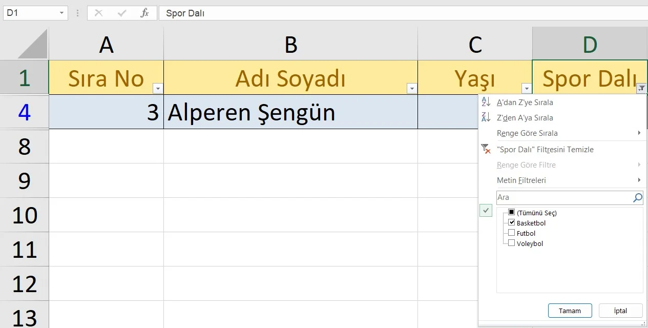 Filtreyi Temizleme Menüsü