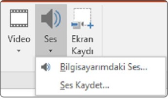 Ses Ekleme