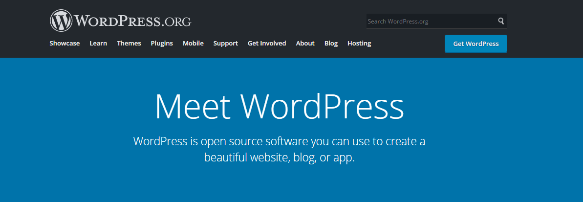 Wordpress CMS plateform, cms, website development