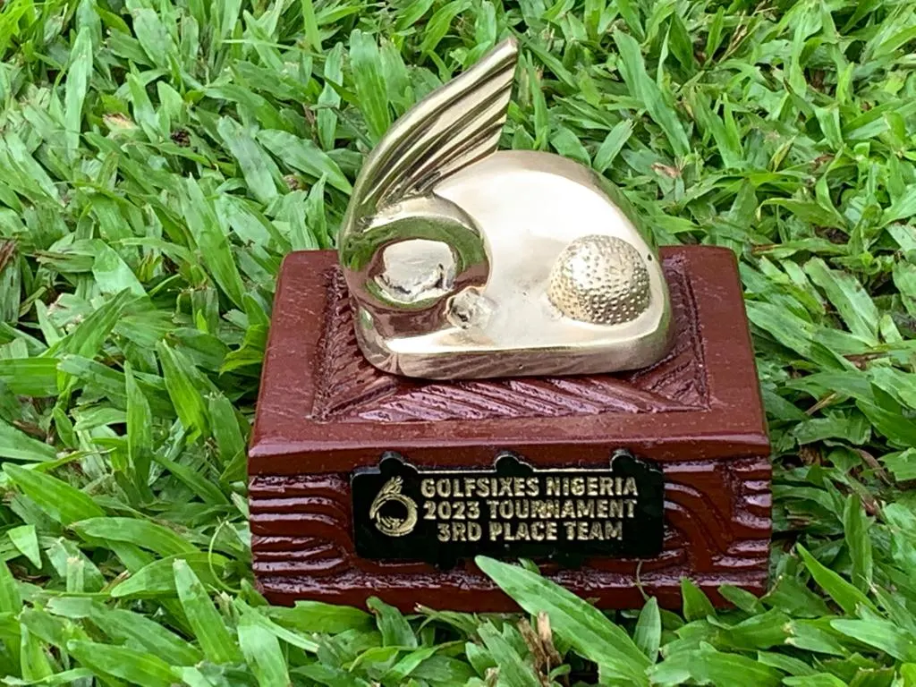 Thrill of GolfSixes - Art & Curation Story | Elikiba Signature