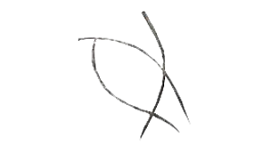 items image Piece of Hair