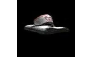 Silent Hill 4 - The Room Items Nurse's Uniform