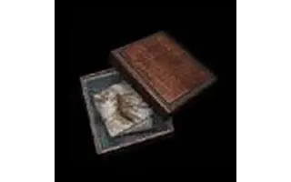 Silent Hill 4 - The Room Items Umbilical Cord