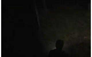 Silent Hill 2 Savepoints Catacomb