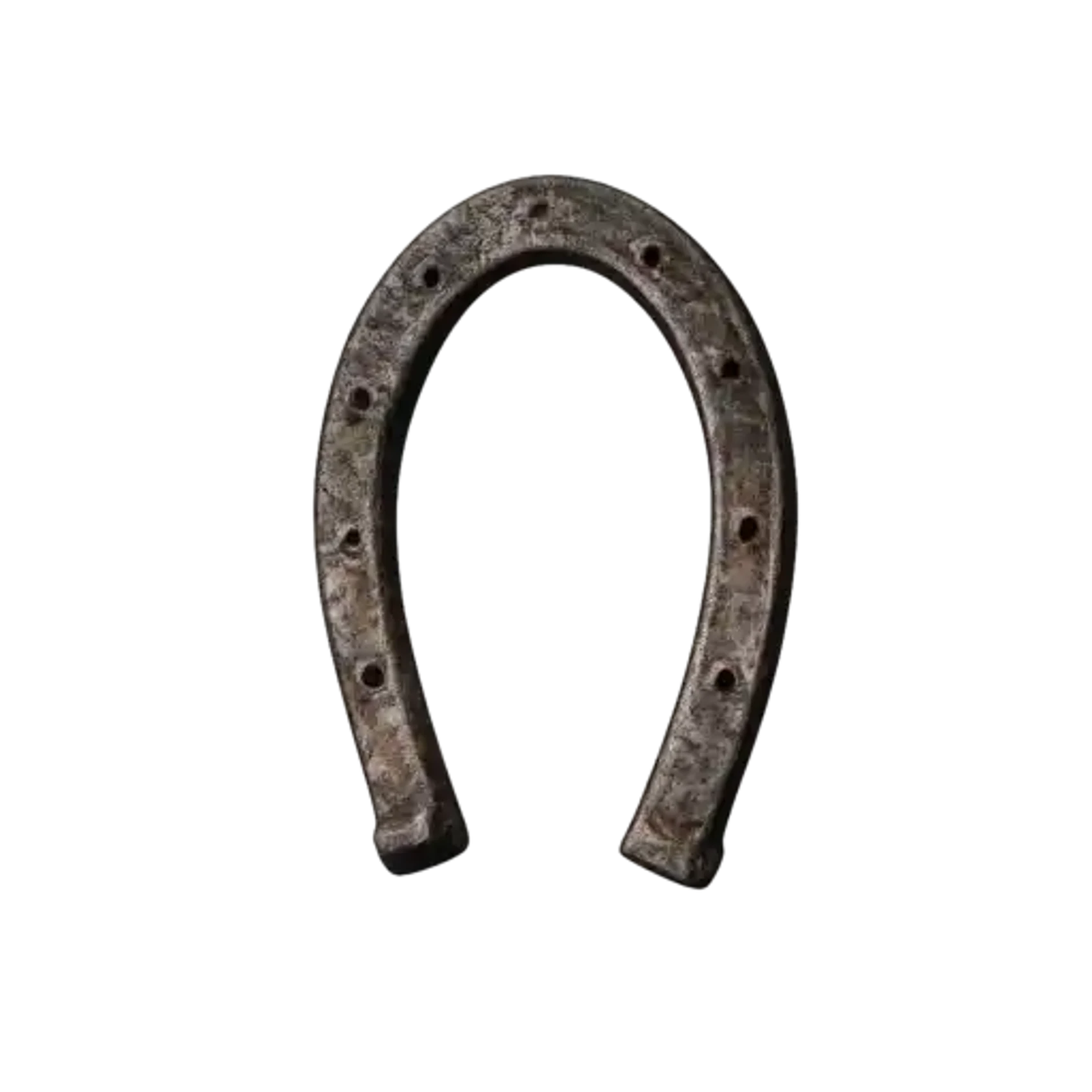 Silent Hill 2 Items Horseshoe