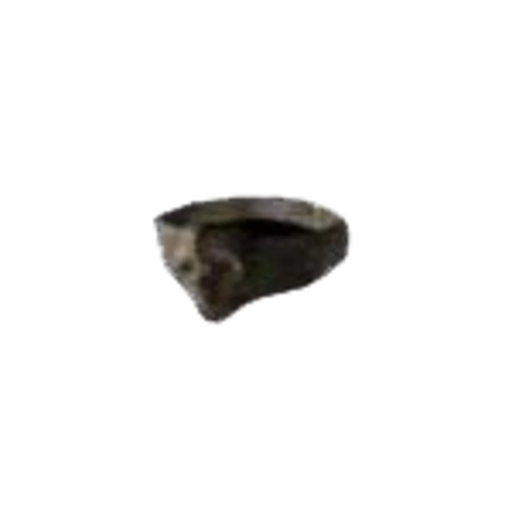 Silent Hill 2 Items Lead Ring