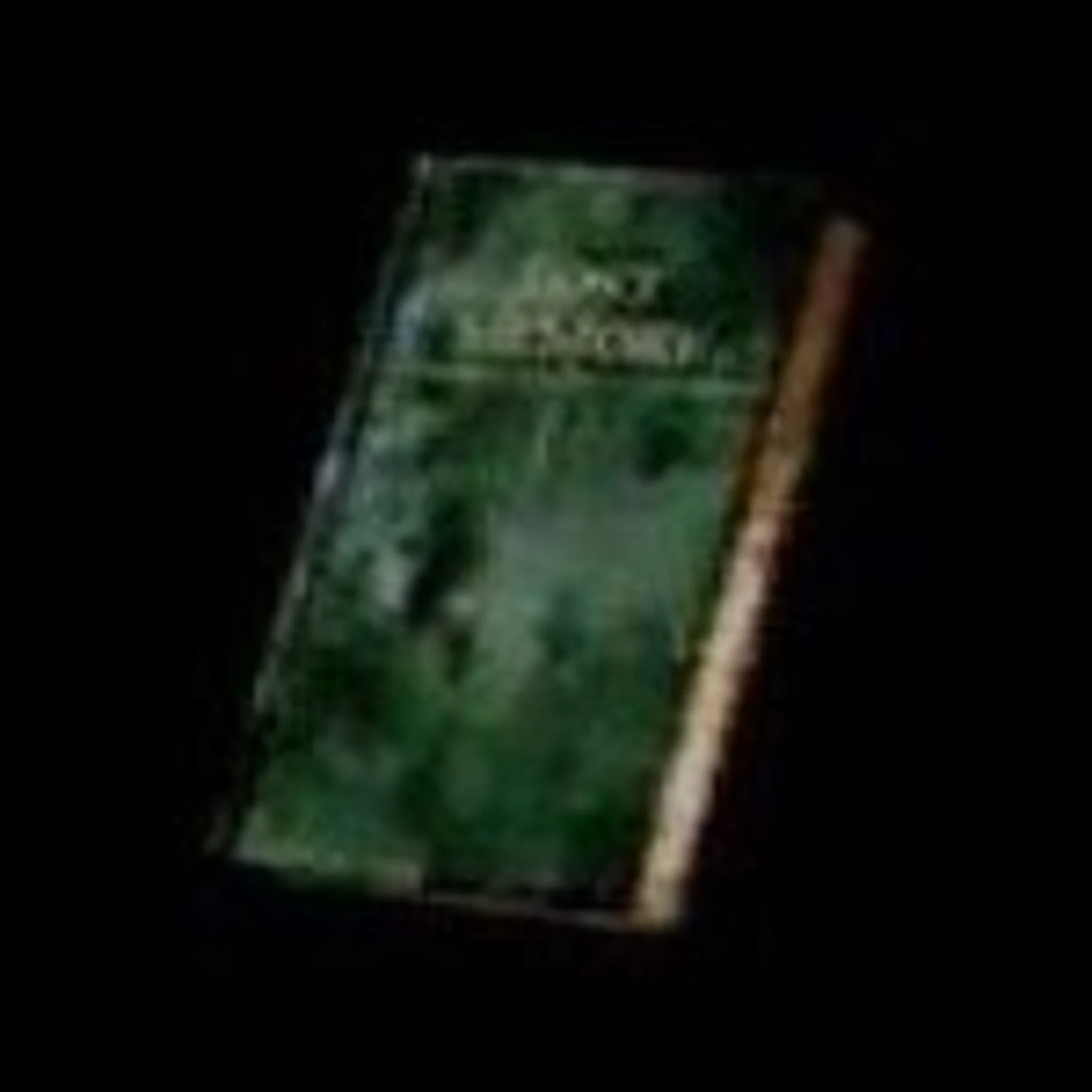 Silent Hill 2 Items Book: "Lost Memories"