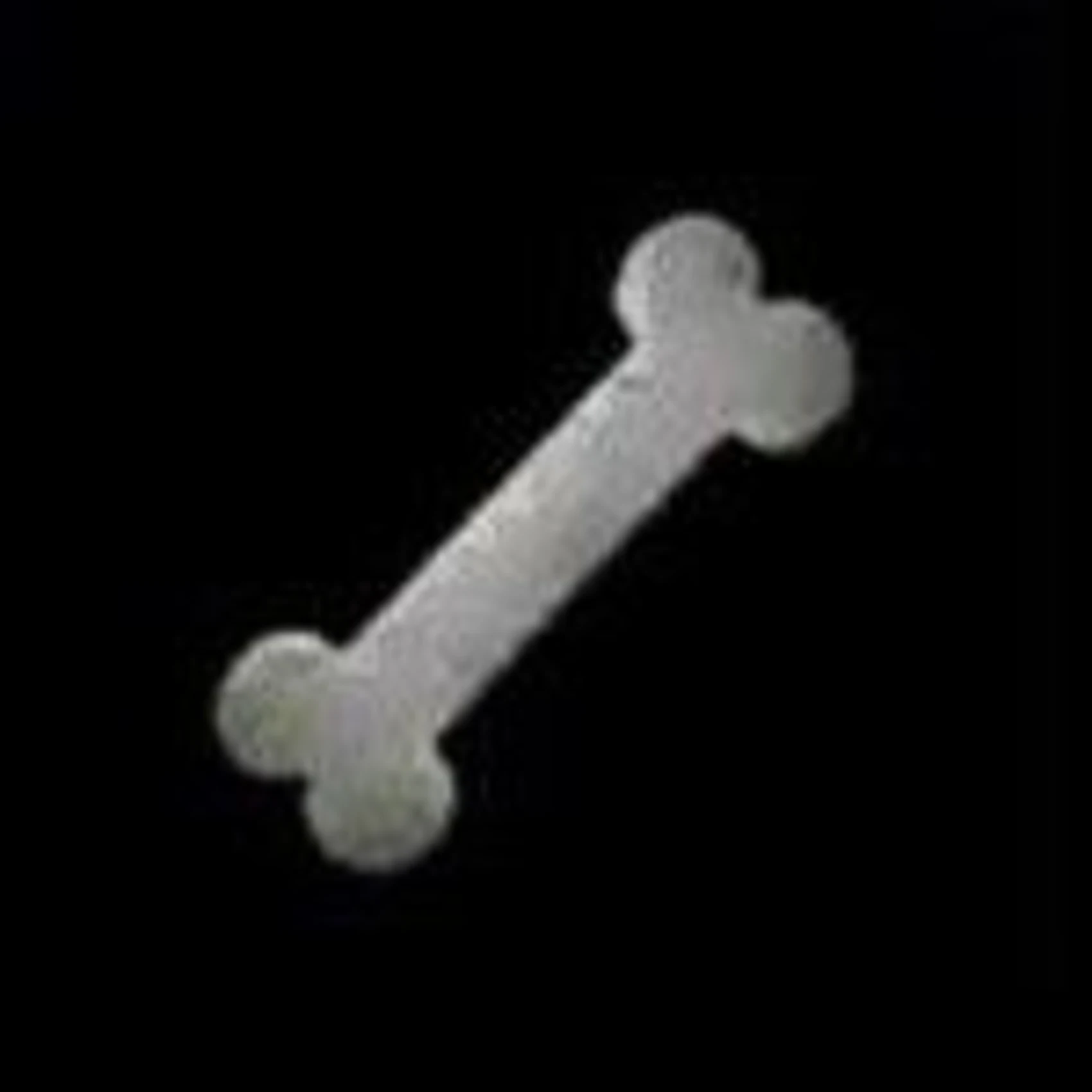 Silent Hill 2 Items Dog Key